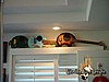 090. miniguitars.jpg