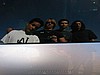 180. bandwindow2.jpg
